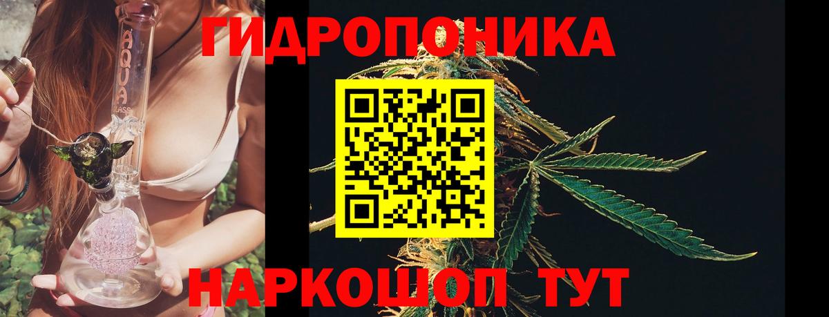Бошки Шишки сатива  МАРИХУАНА индика  Лыткарино  Каннабис семена  Вход с VPN  Марихуана OG Kush 